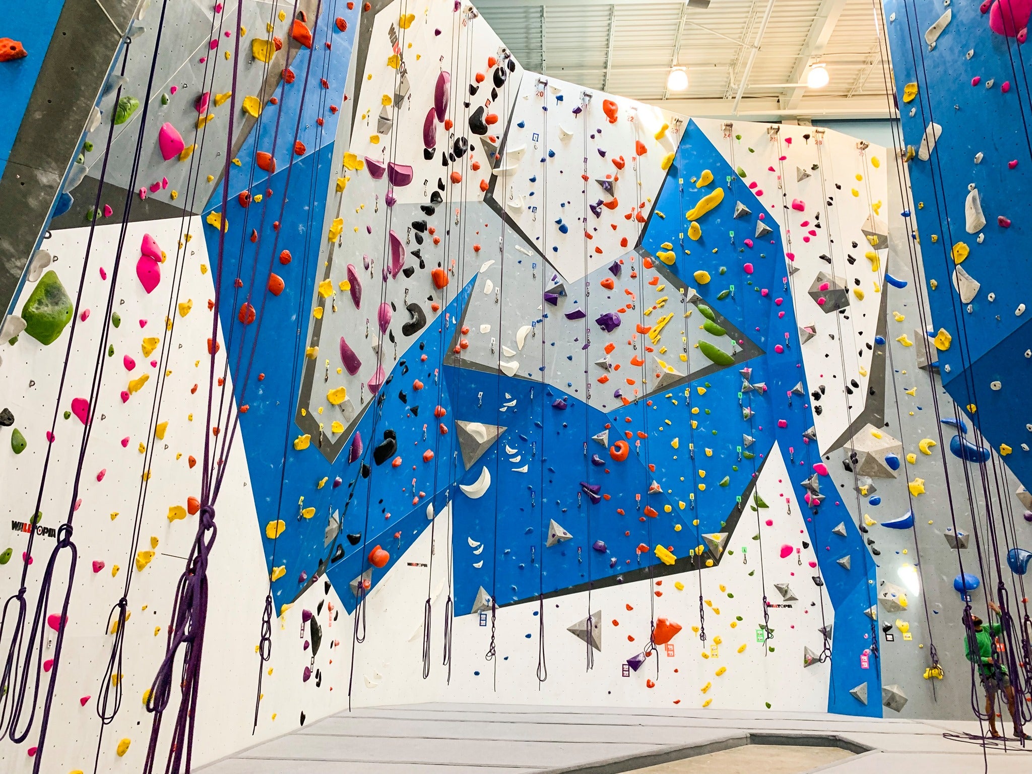 Image for 5 Climbing Gyms to Support During COVID-19