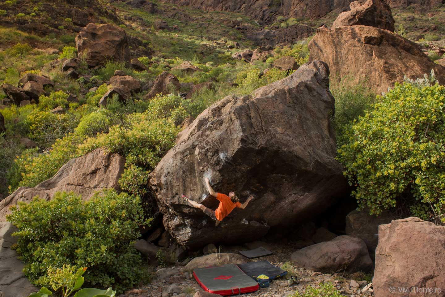 Image for Nils Favre